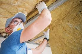 Best Attic Insulation Installation  in Dakota City, NE